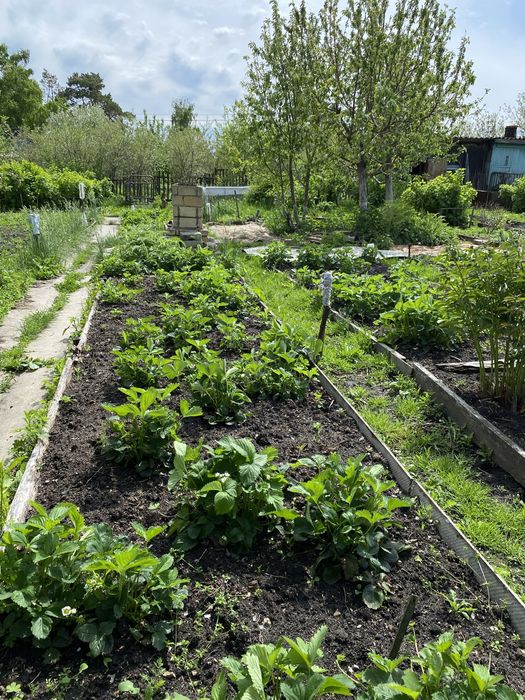 Дача в кооперативе Борки