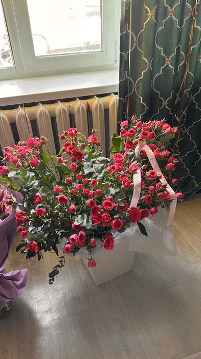Продам цветы б/у