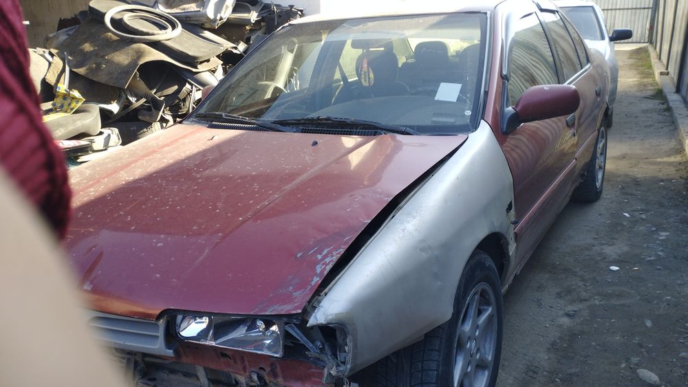 Ниссан примера р10