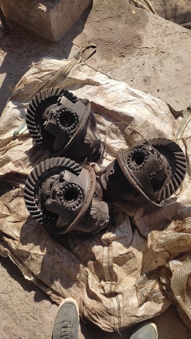 Йанги ехтийот кисим