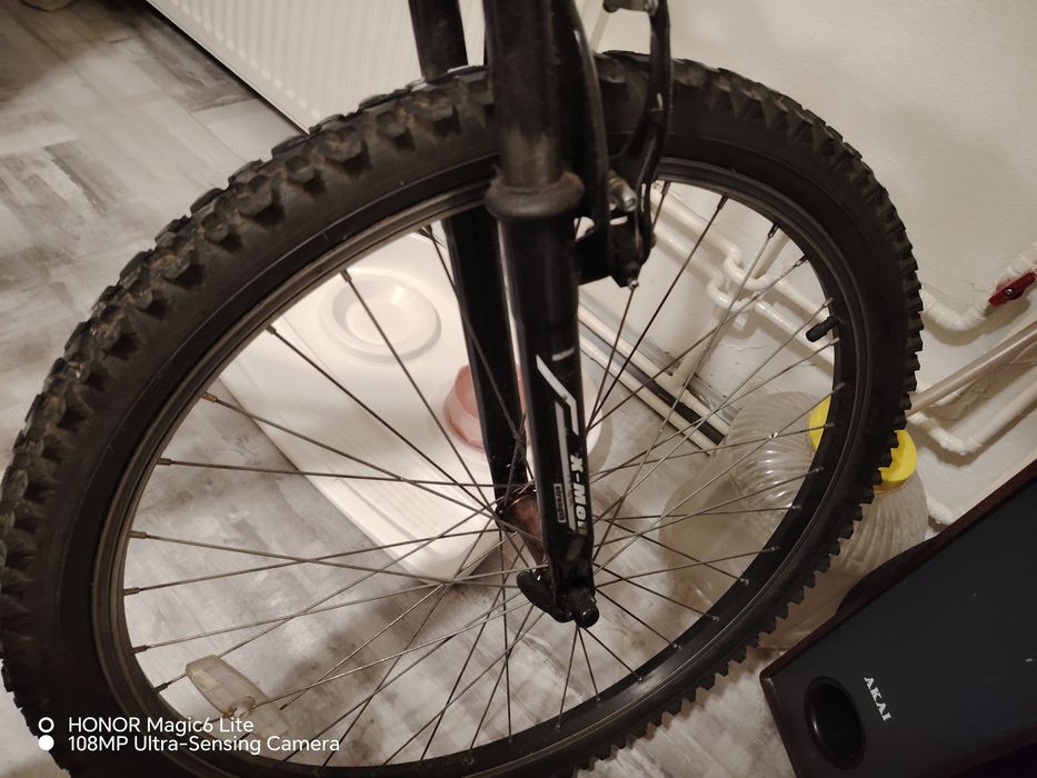 Bicicleta adulti