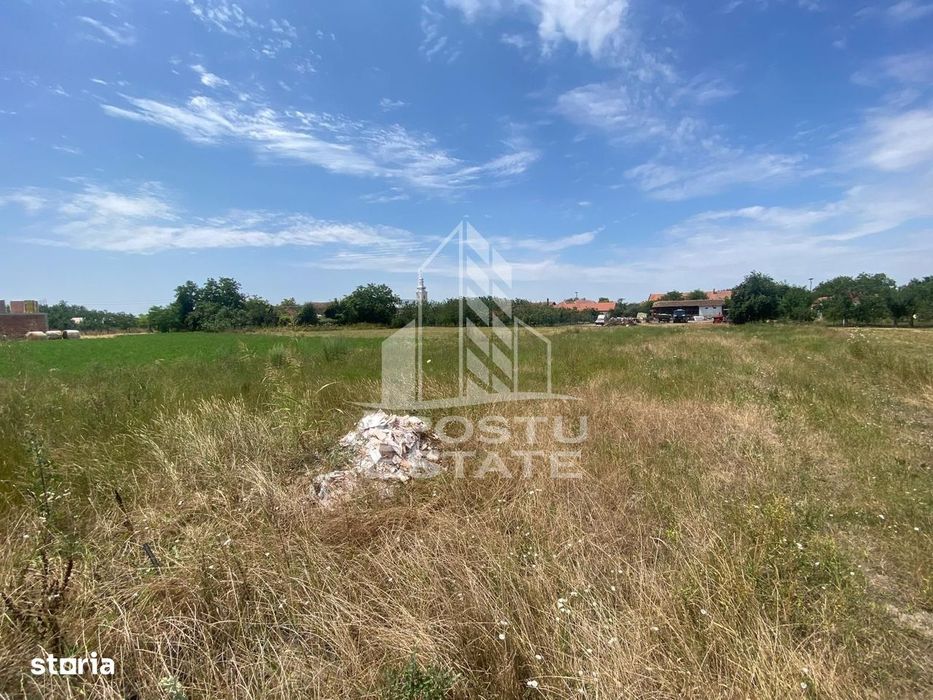 Teren constructii intravilan de vanzare Dragsina Timis 1000 mp