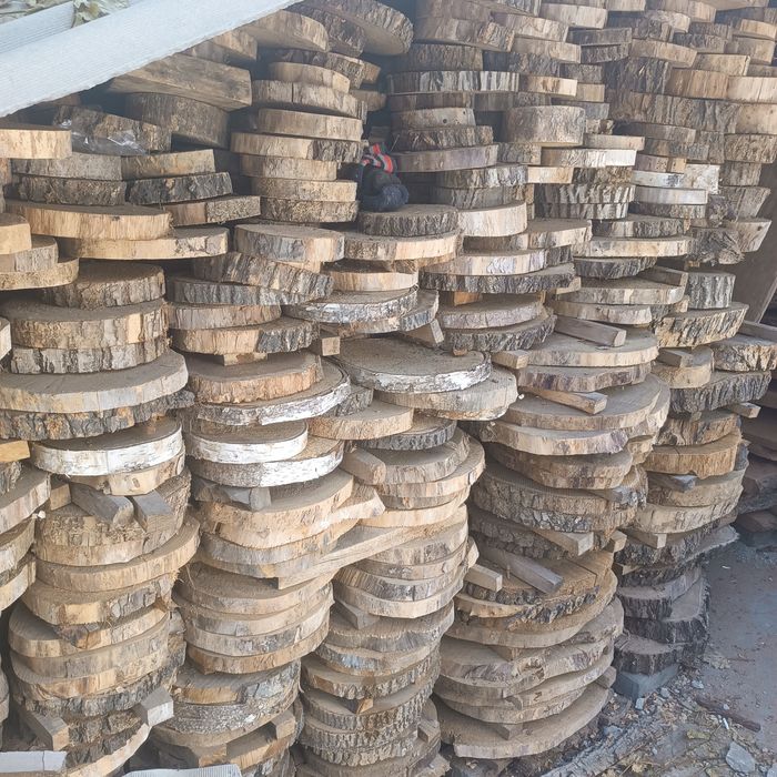 Продам спилы разных деревьев