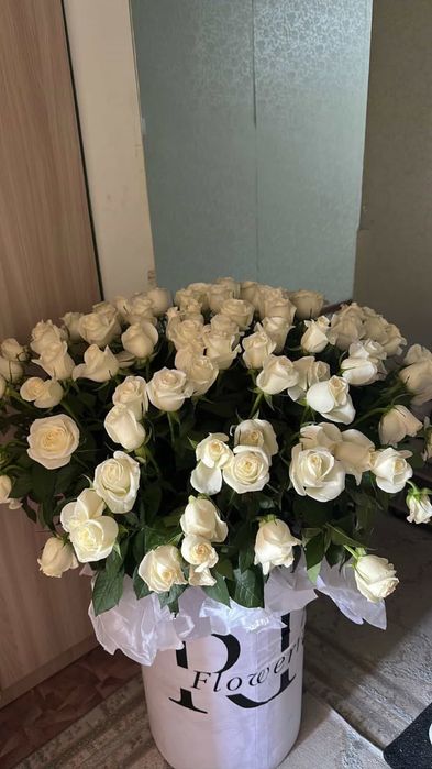 Гул срочно 25.0000