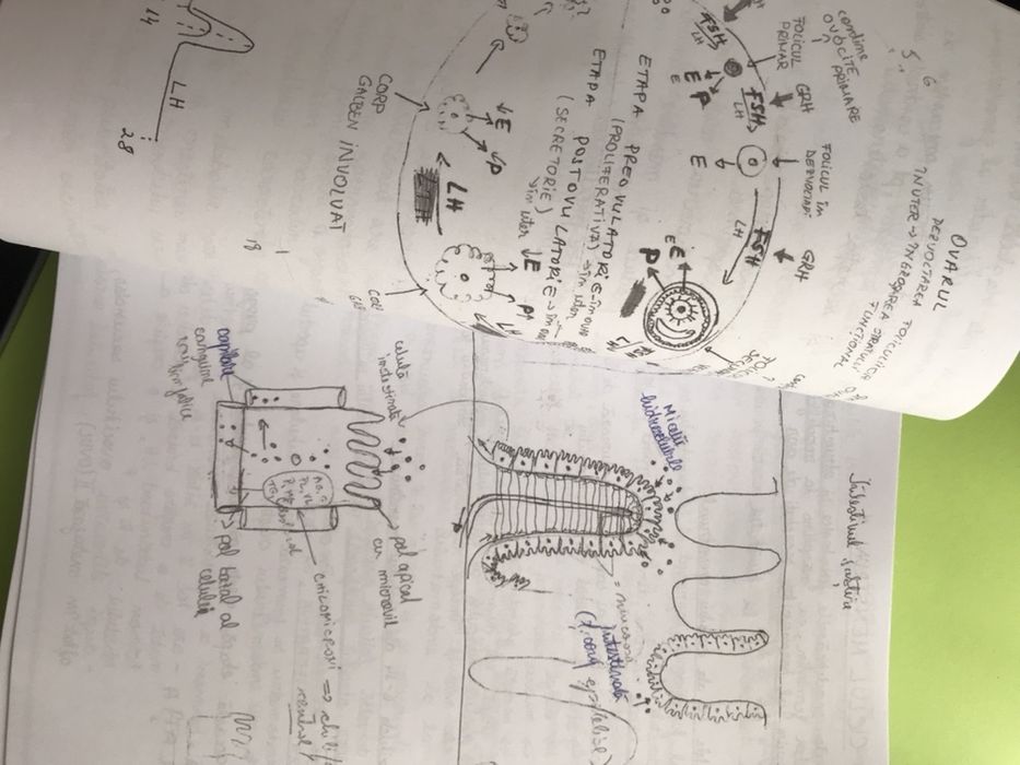 Materiale Admitere UMFST oferta promotionala