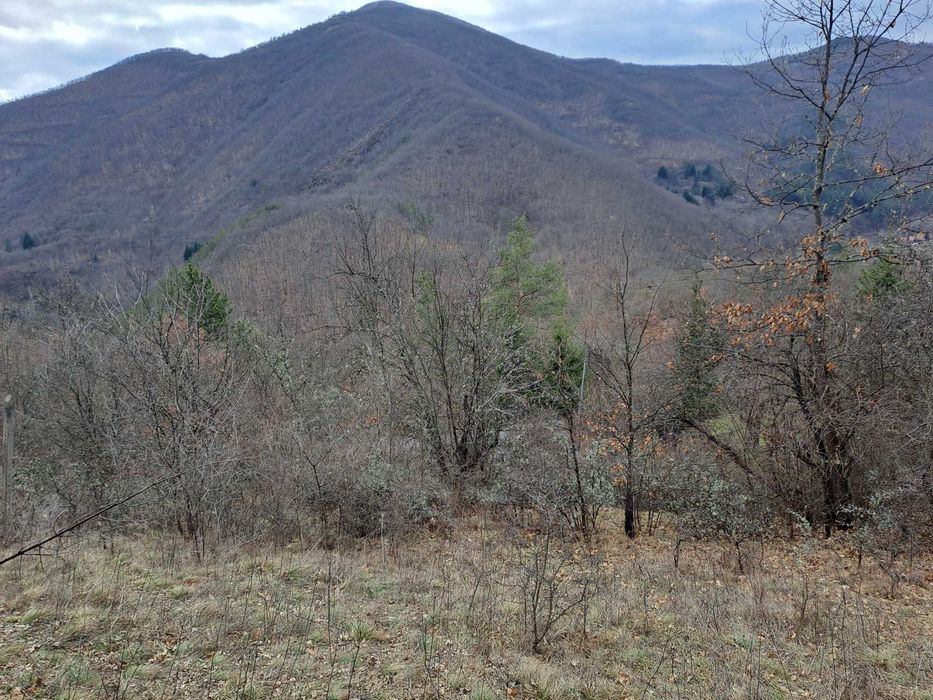 Вила в с. Батулия