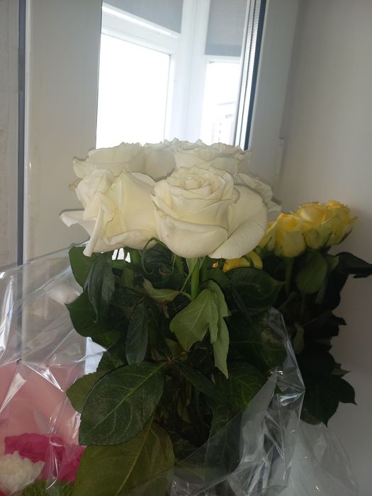 Букет цветов  цветы