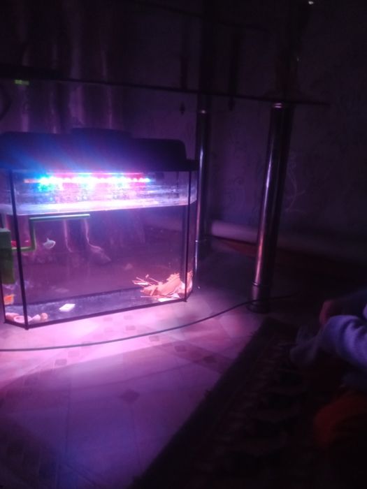 Аквариум  15 литр