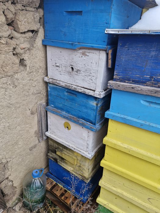 Кошери , корпуси за  ЛР 10 рамкови