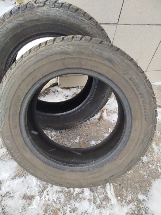 Зимние шипованные шины