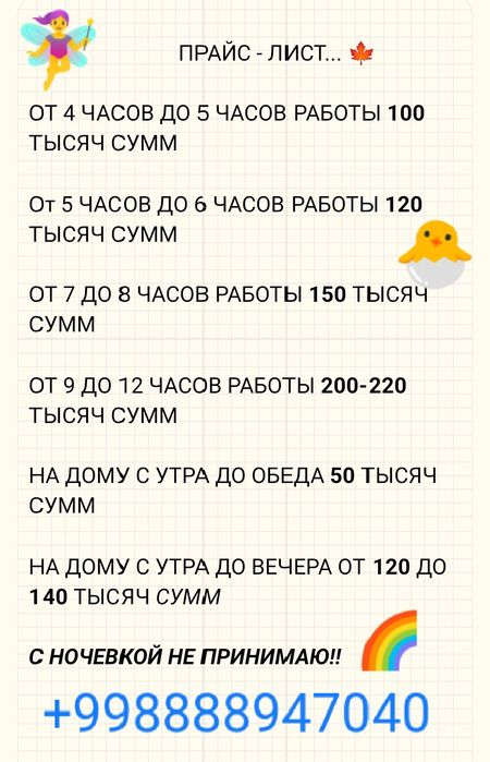 Няня - помощница .