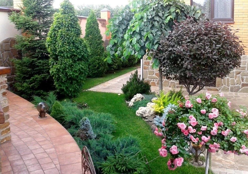 Газон сотамиз оптом рулонный