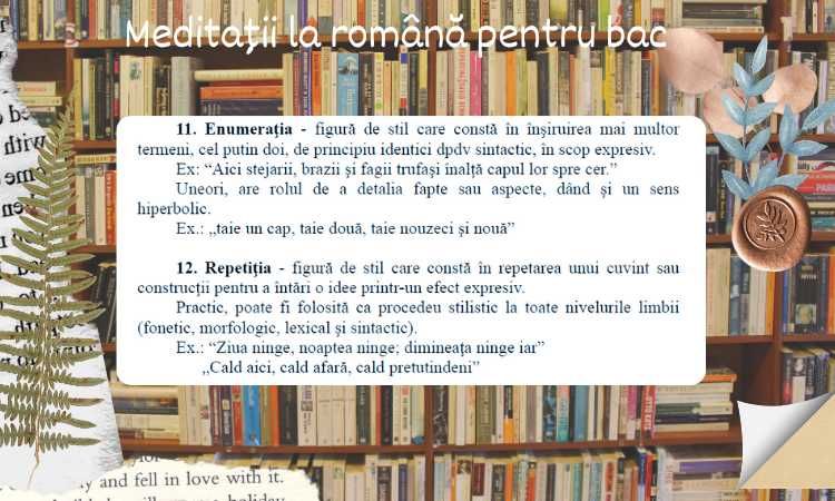 Meditații la Română pentru BAC și Evaluare Națională