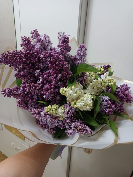 Продам букет сирени