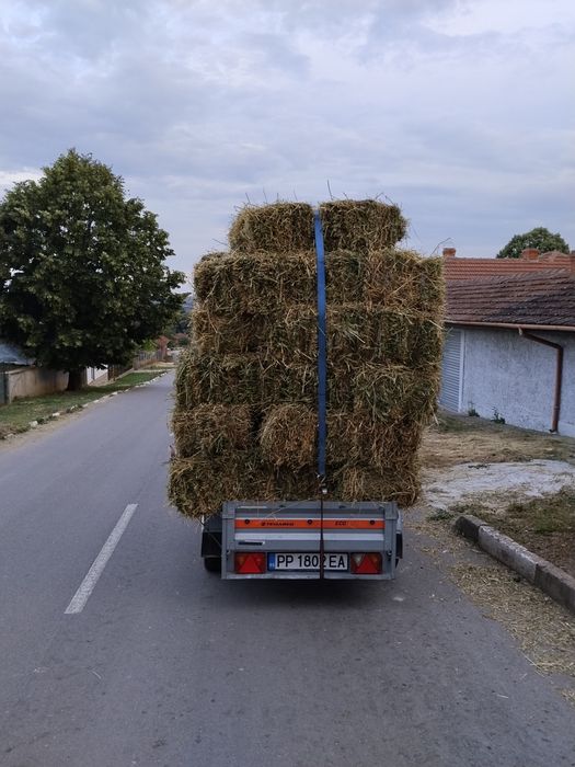 Продавам Балли Чиста Люцерна