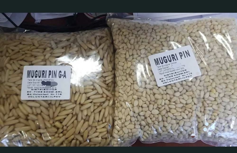Muguri de pin bob rotund 1 KG