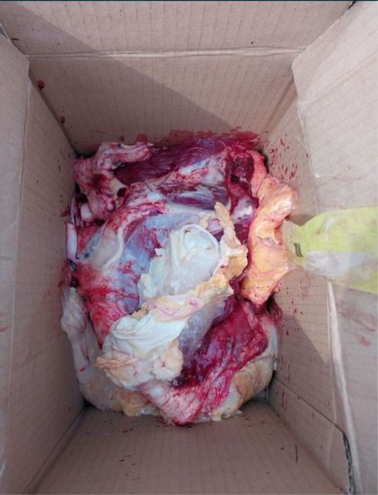 корм для собака и кошик