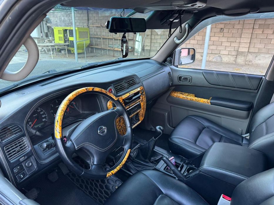 Лошади кабылы крс