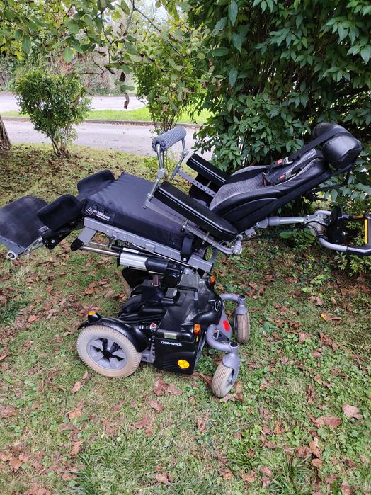 Căruț electric pentru persoane cu dezabiltati