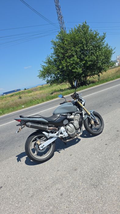 Honda cb 600 hornet