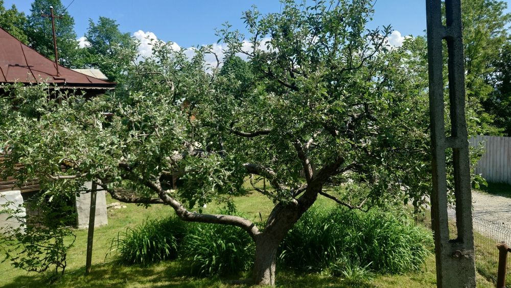 Vând teren Breaza , Prahova