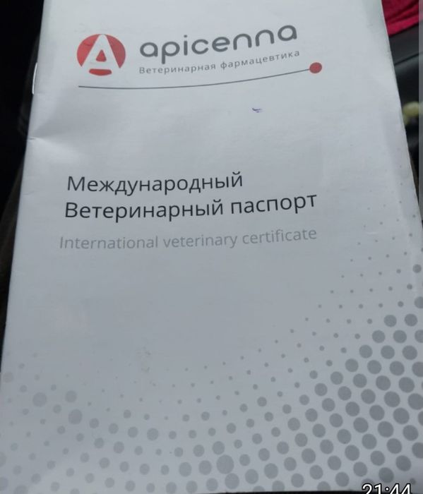Продаётся Авчарка немецкая кабель
