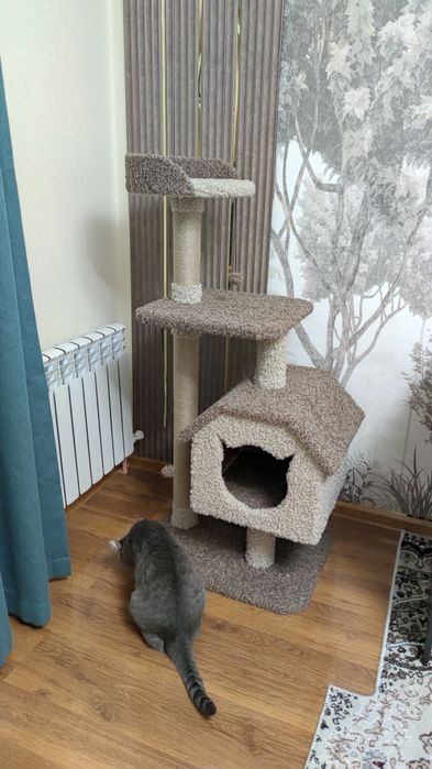 Домик для кошек. Когтеточка кошек. Зоодомики