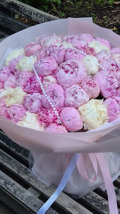 Пионы Голландия Сара Бернар