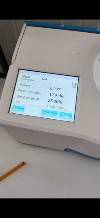 Grâu de vanzare 1,30 kg recoltă 2025