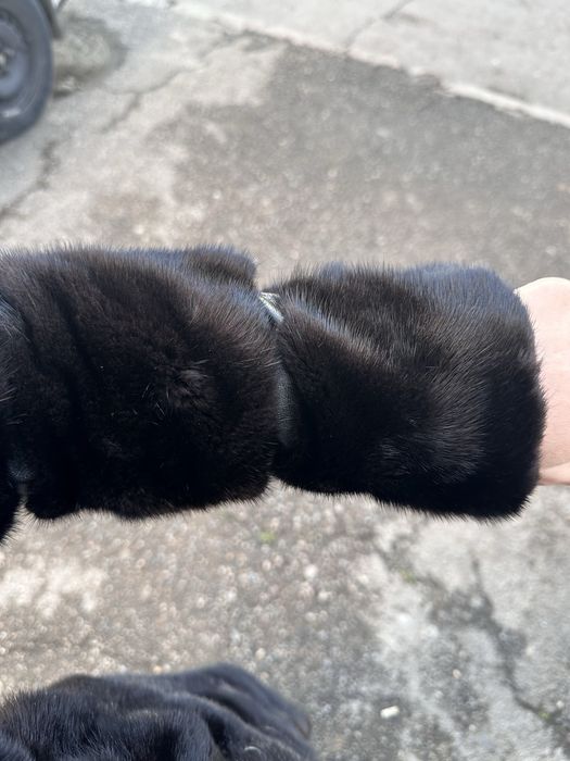 Греческая шуба норка