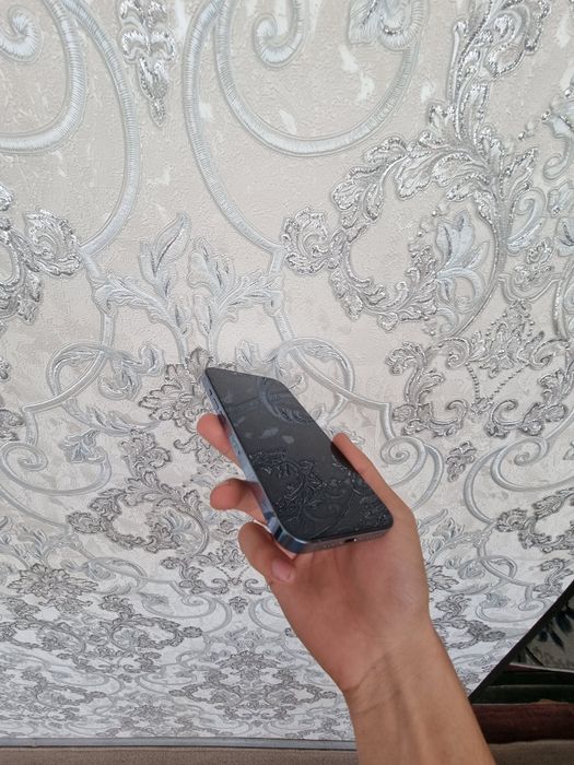 IPhone 13 Pro uz