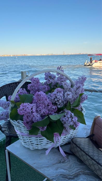 Букет сирень свежий