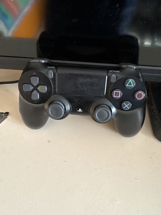 Плеистеишан 4 slim