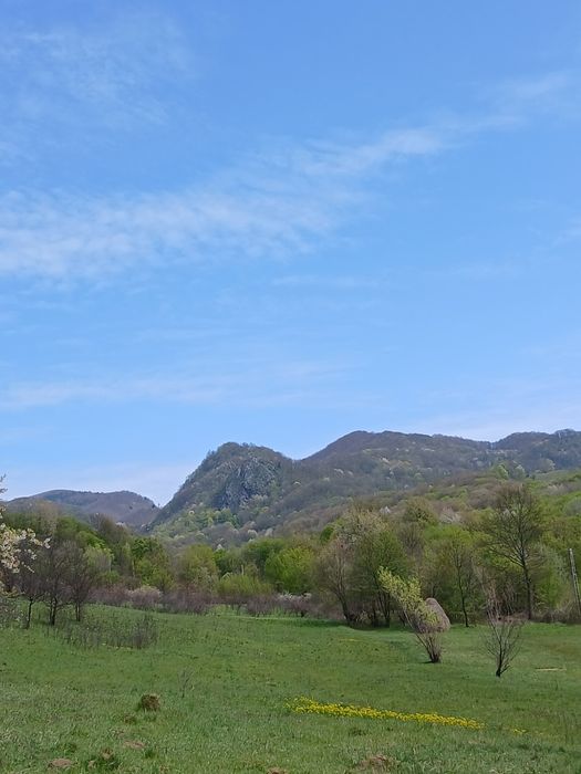 Casă la munte cu pârâu în curte,în localitatea  Nojag.la 18 km.de DEVA