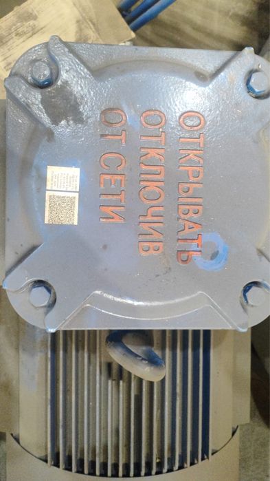 Электродвигатель ВЗИ 250х3000