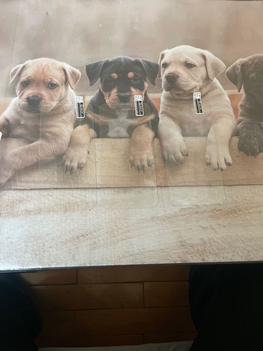 Протектор за IPhone XS (10S)