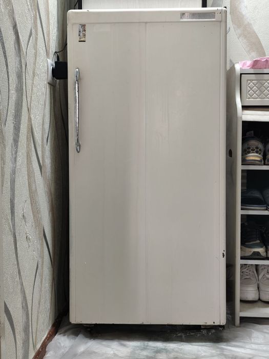 Брюса holodelnik