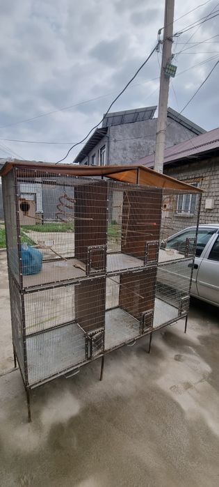 Кафас qafas 6 хонали