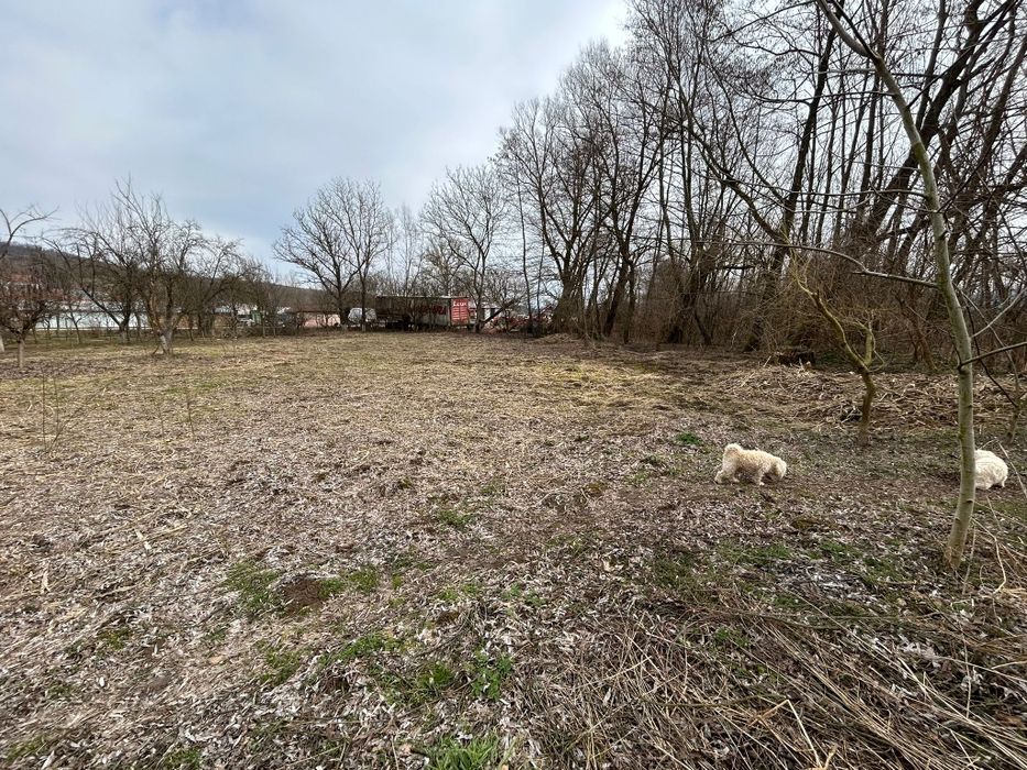 Vând casa în sat farcadin județ hunedoara