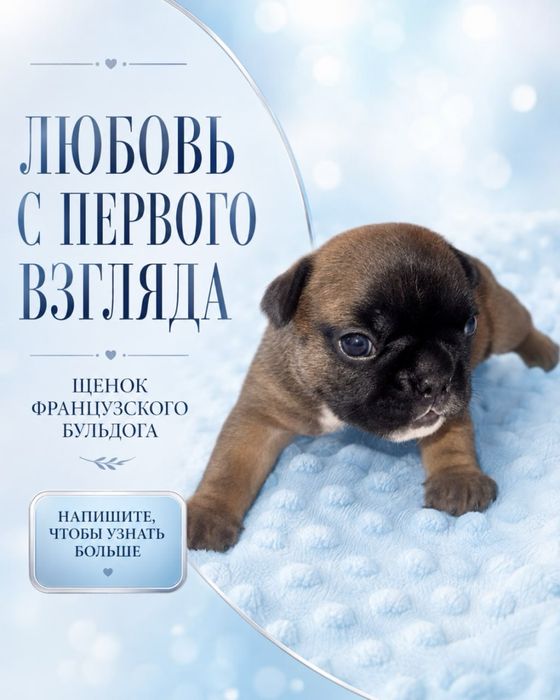 Шикарные яркие девочки