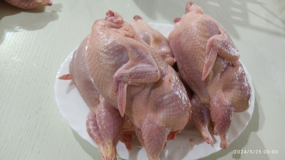 Перепела  . Мясо перепелки  . Бөдене еті  .