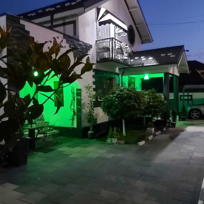 Casa P+1 cu anexe