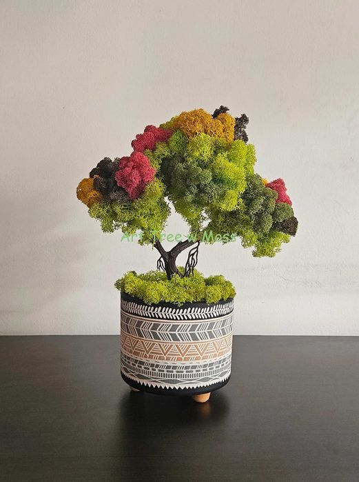 Дърво Бонзай със Скандинавски мъх в керамична и дървена кашпа