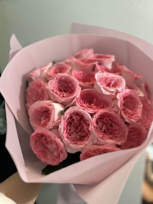 красивые розовые розы 25штук