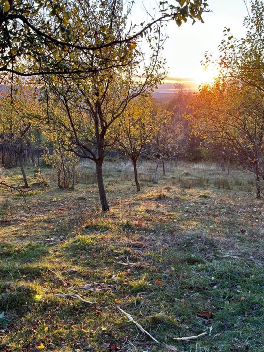 Horezu 1200 metri sat Râmești strada Măgurii
