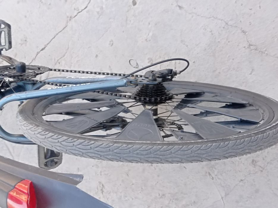 Velik snoke sotiladi