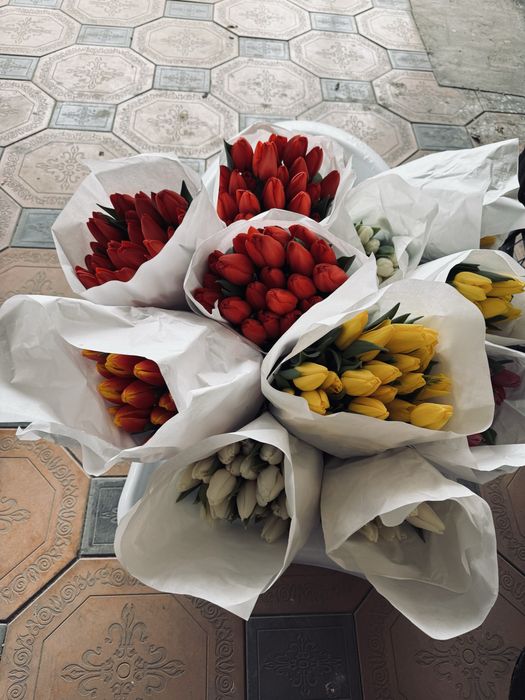 Тюльпаны Тараз 8 март