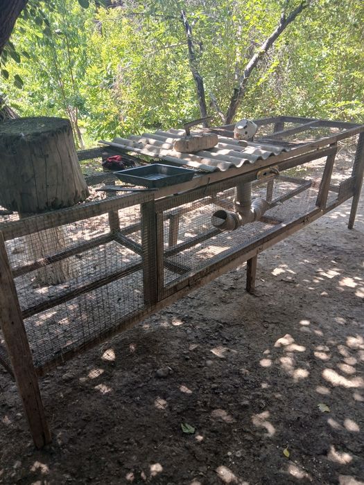 Товук катак ва куён катак тахлаб берамиз