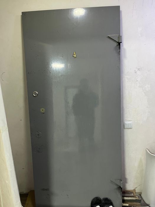 Входные двери железные