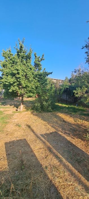 Дача Навбахор 6-соток земля для строительства Паркент Янгибазар